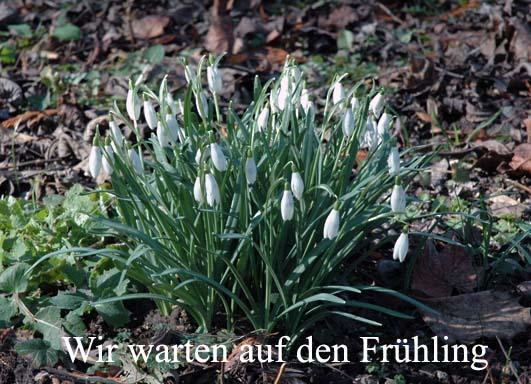 Konigszinne Bodenwerder Zewnętrze zdjęcie